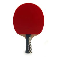 Karakal KTT 200 TABLE TENNIS BAT Masa Tenisi Raketi