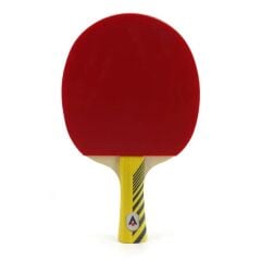 Karakal KTT 300 TABLE TENNIS BAT Masa Tenisi Raketi