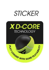Tecnifibre Club Tenis Topu (4 Toplu Kutu)