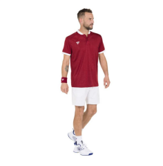 Tecnifibre Team Mesh Polo Cardinal Renk Erkek T-Shirt