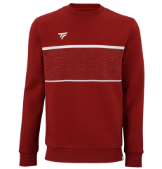 Tecnifibre Team Cardinal Renk Erkek Sweater