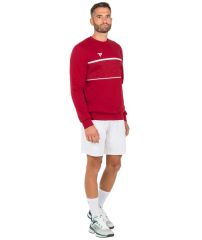 Tecnifibre Team Cardinal Renk Erkek Sweater