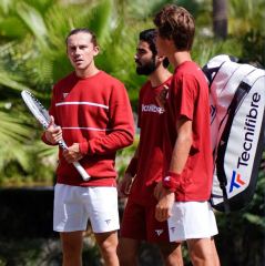 Tecnifibre Team Cardinal Renk Erkek Sweater