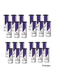 Tecnifibre CHAMPION (3 TOPLU KUTU) 24' lü Tenis Topu