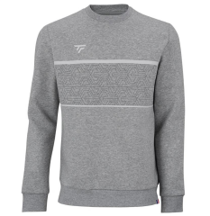 Tecnifibre Team  Silver Renk Erkek Sweater