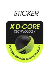 Tecnifibre Club Tenis Topu (3 Toplu Kutu) 12 Paket